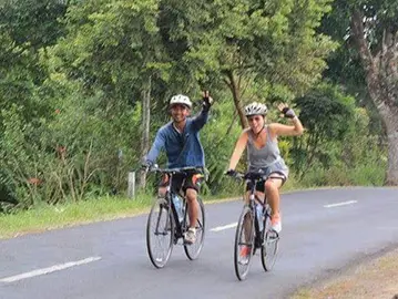 downhill bali bicycle tour service