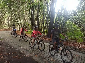 bali downhill cycling tour package