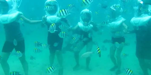 essential bali marine tour packages with sea walker activities