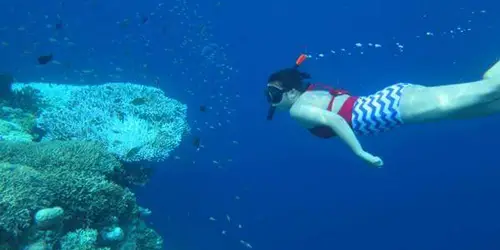 bali tour activities with snorkling in tanjung benoa water sport