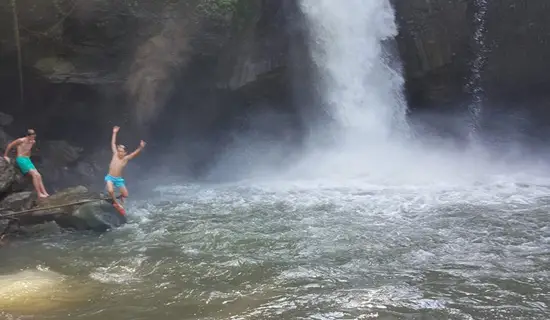 half day bali tour packages service