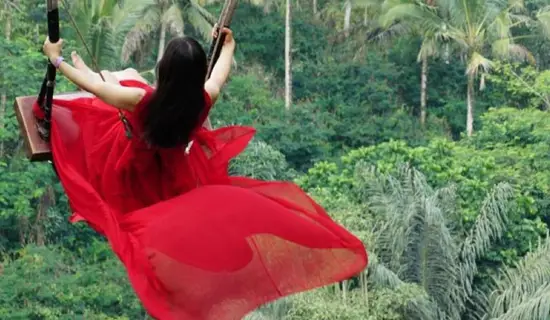 essential ubud sightseeing tour package in bali
