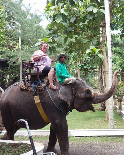 elephant riding in bali full day tour package