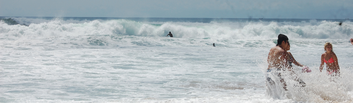 half day tour service padang-padang beach bali