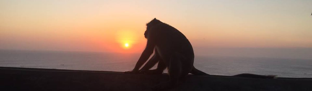 uluwatu temple bali essential tour package